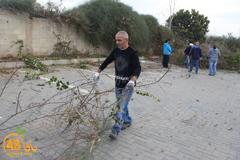 taso mashro3 tandaef (65).JPG